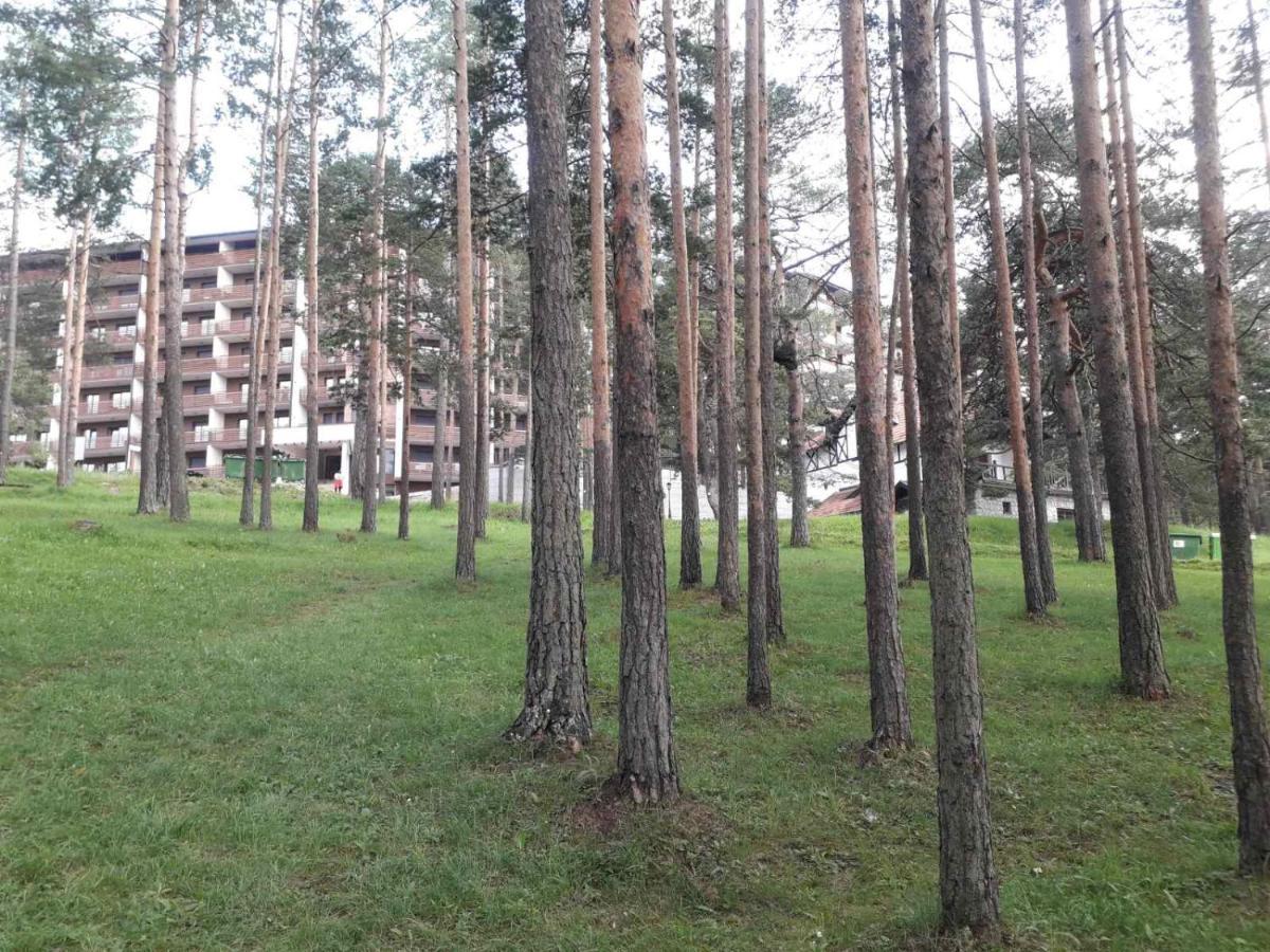 Lux Apartman Ss Zlatibor Vila Pekovic Green المظهر الخارجي الصورة